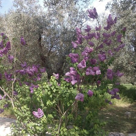 Masseria Costanza Путіньяно Екстер'єр фото